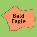 Bald Eagle State Forest