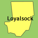 Loyalsock State Forest