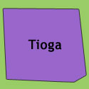 Tioga State Forest