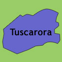 Tuscarora State Forest